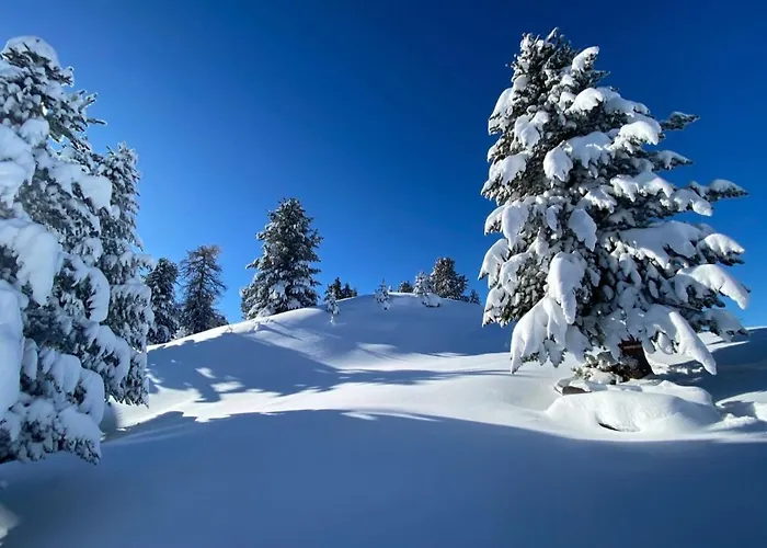 Bergluft Apartamento *